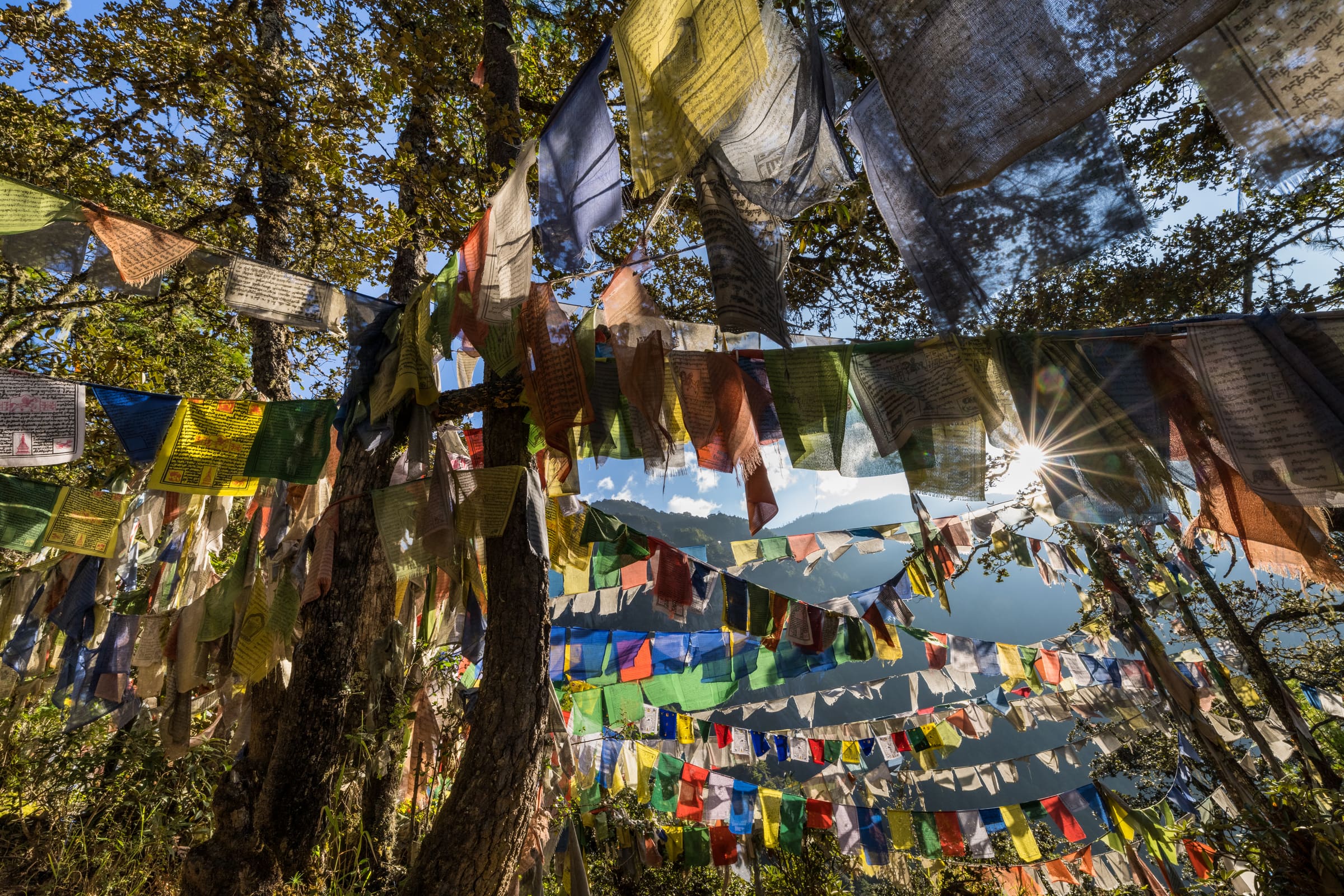 Prayer flags in Bhutan