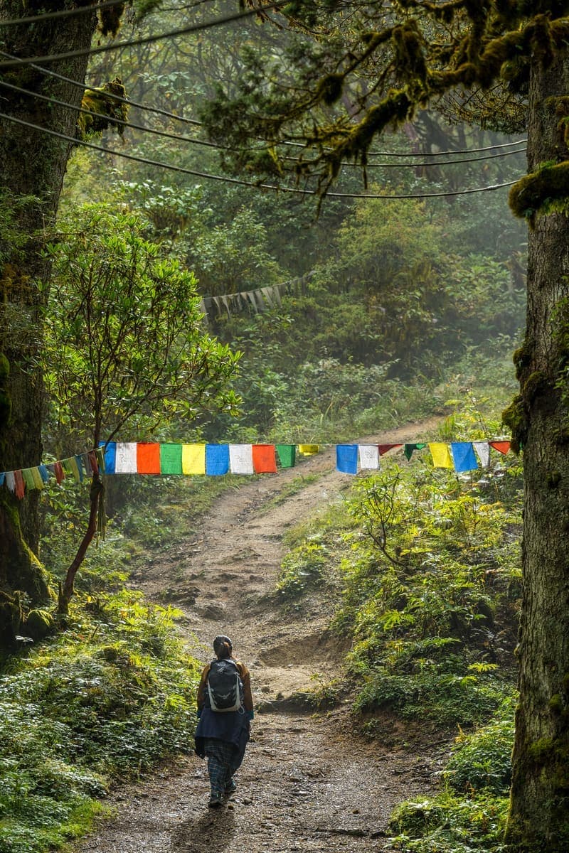Pumola Hike in Bhutan