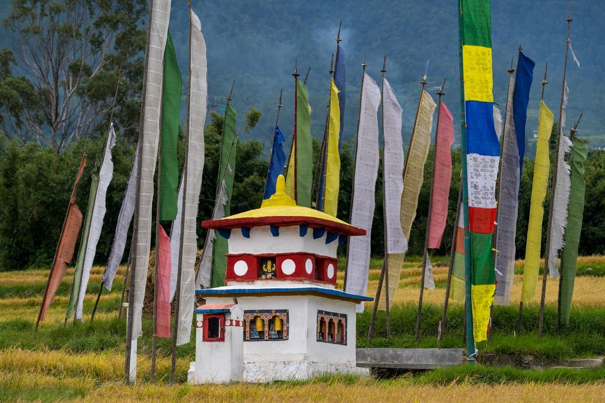 4-Day Punakha Quick Journey image