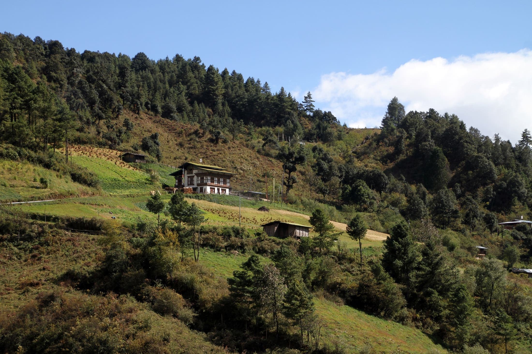 Wangdue Phodrang Dzong on a ridge